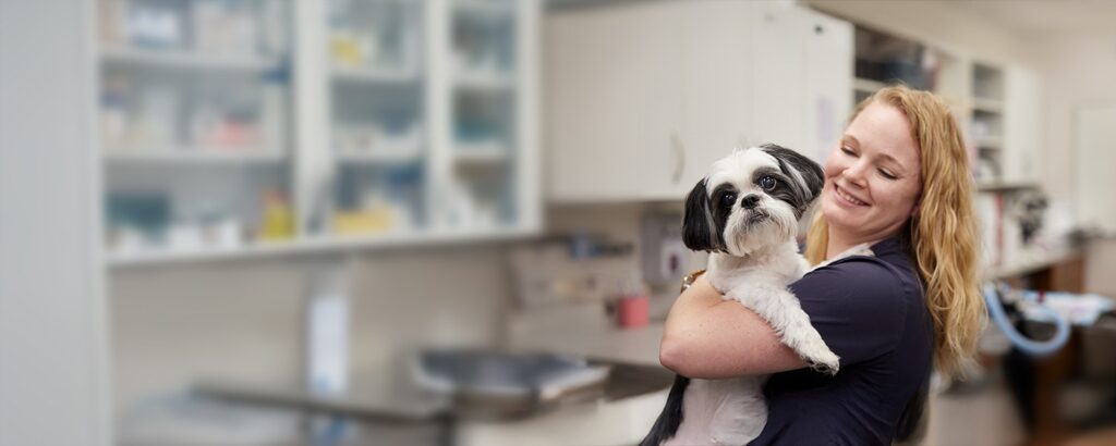 Ethos Vet Health: Thousands of Micro-Optimizations. Breakthrough Results.