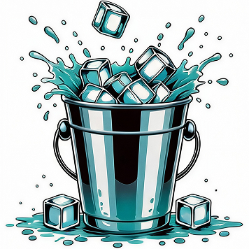 Ice bucket