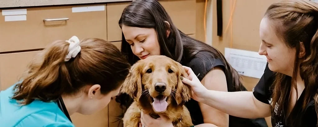 National Veterinary Associates: Scales AI-Powered Performance Across Hundreds of Local Markets